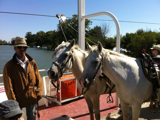 promenade a cheval la