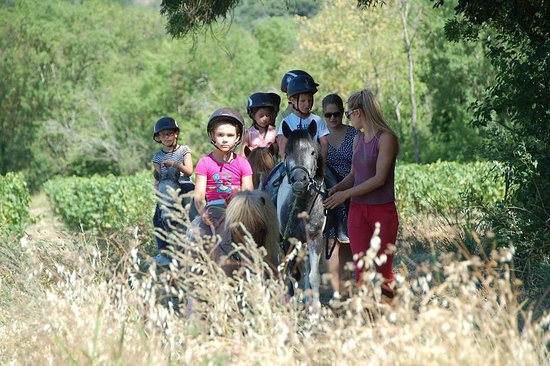 promenade a poney dans