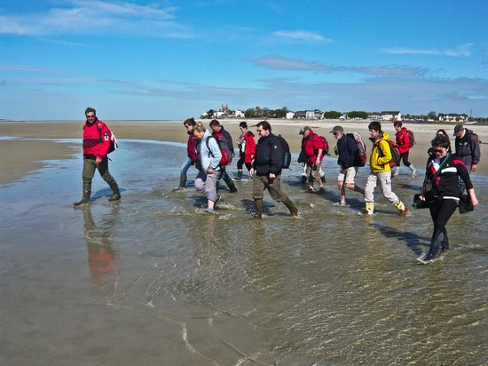 promenade en baie day