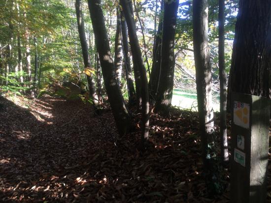 promenade escarpee sous