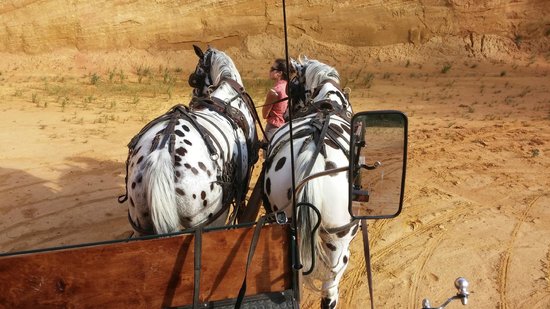 provence hipposervices