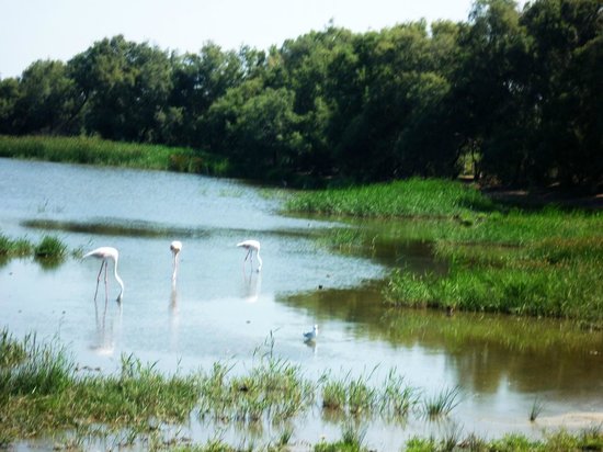ranch de la brouzetiere