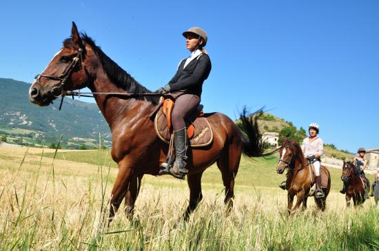 randonnee a cheval a