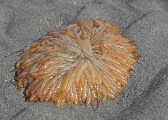 randonnee en baie de