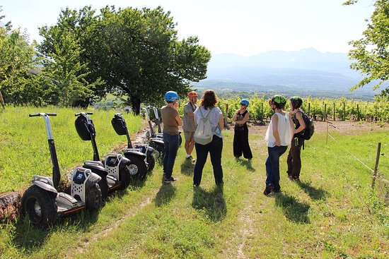 randonnee segway oenologique