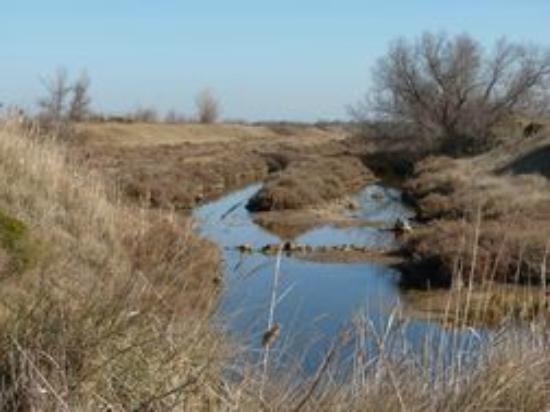 reserve naturelle de 1