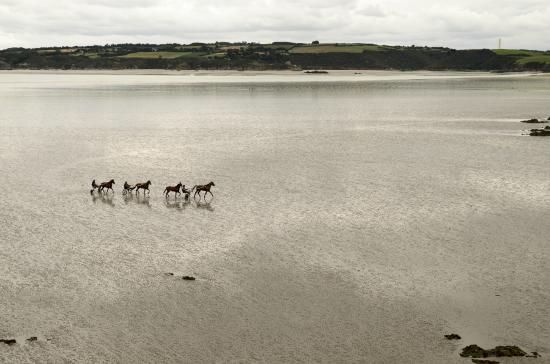 reserve naturelle de