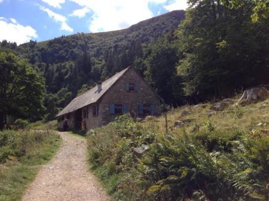 reserve naturelle frankenthal