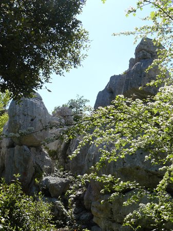 roches rochers et cailloux