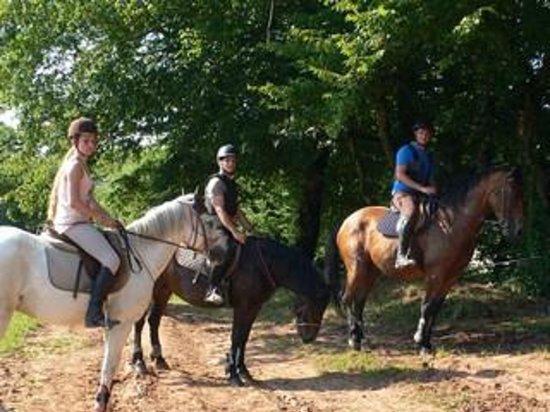 saint cere equitation