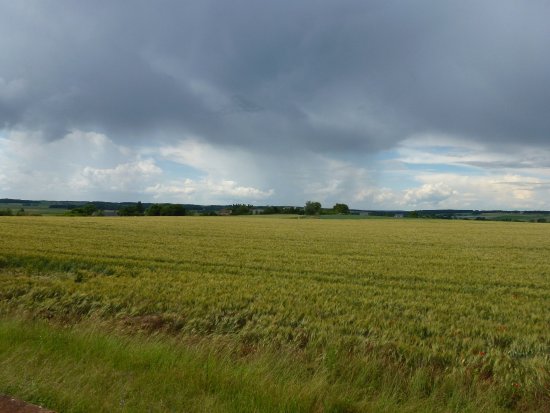 saint georges des sept