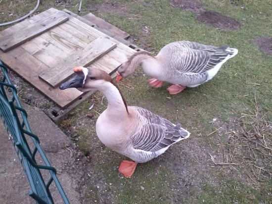 saint nectaire aventures