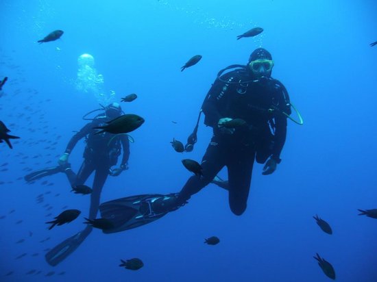 saint p hyeres plongee