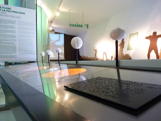 sauveterre musee de prehistoir