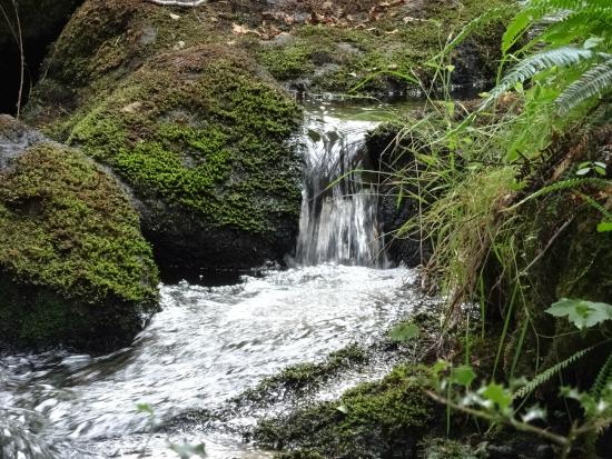 sentier d interpretation