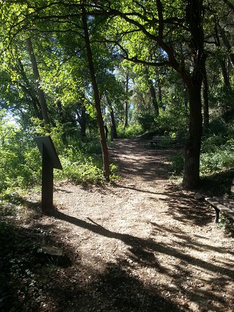 sentier de la colline