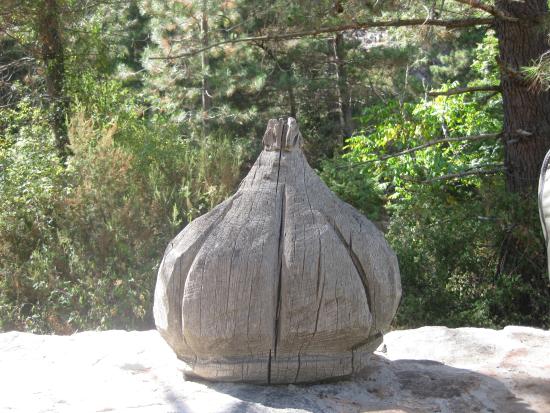 sentier du chataignier