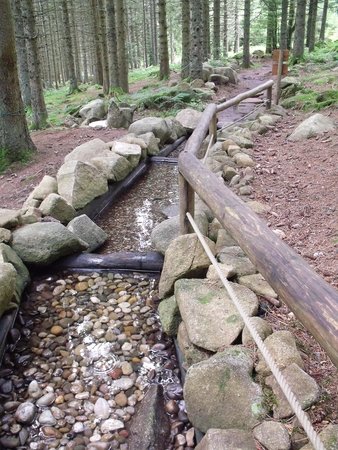 sentier pieds nus lac