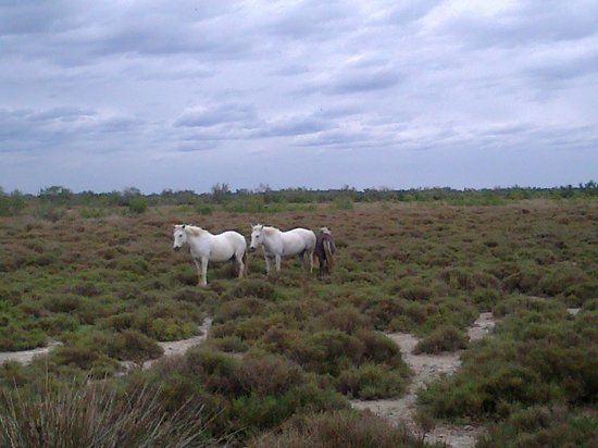 sentiers de decouverte