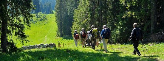 sentiers de randonnee