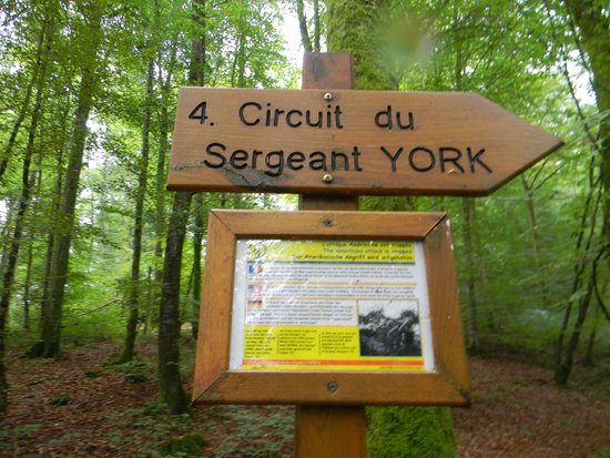 sergeant york trail