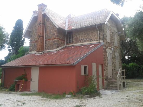 site archeologique olbia