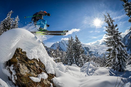 ski au milieu des sapins