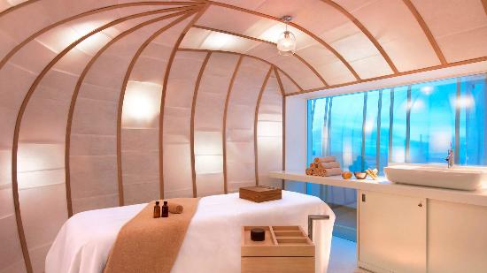 spa at the westin paris