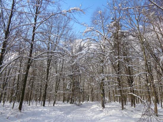 station de ski de fond