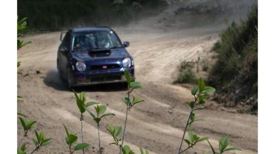 subaru impreza on the