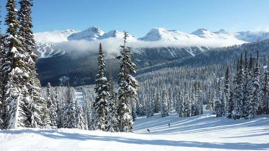 supreme snowsports school