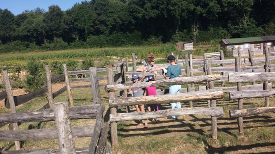 sur le sentier des pas