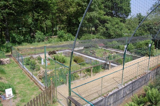 terrarium de kerdanet