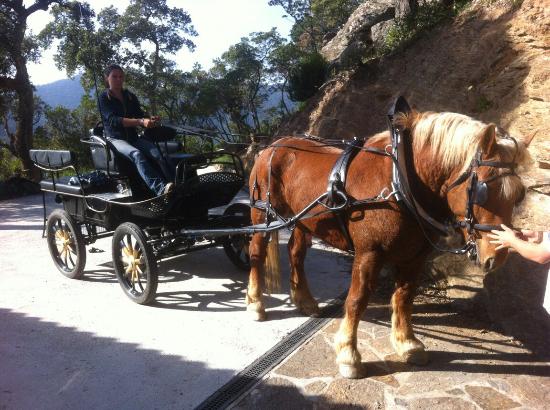 terre de trait du golfe