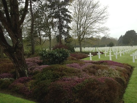 the american cemetery