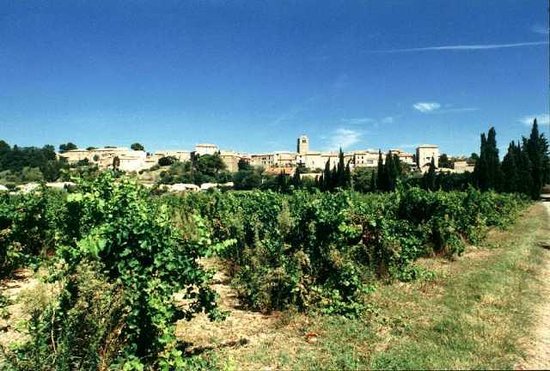 the hq of taste du languedoc