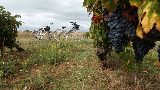 the lady s bikes a break