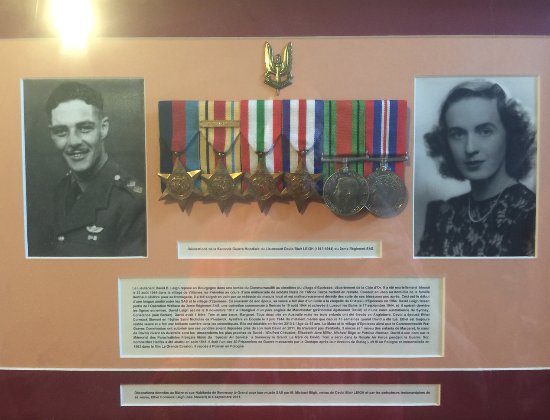 the medals of david leigh