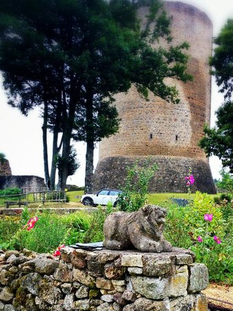 the medieval gardens