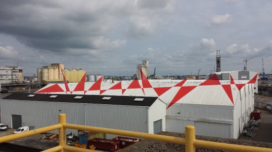 the red triangles are