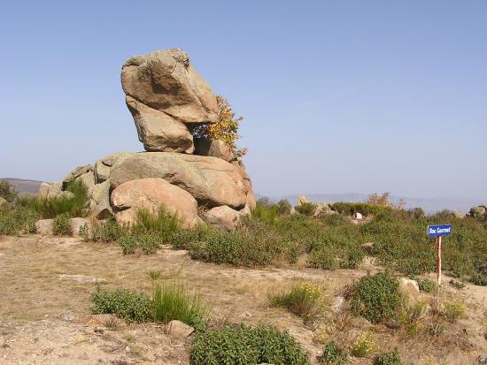 the roc cornut on the