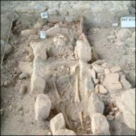 tombe gallo romaine au