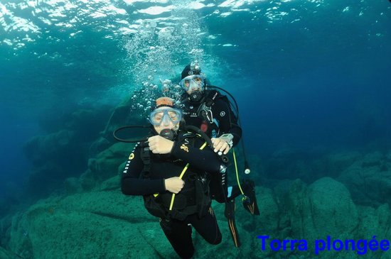 torra plongee