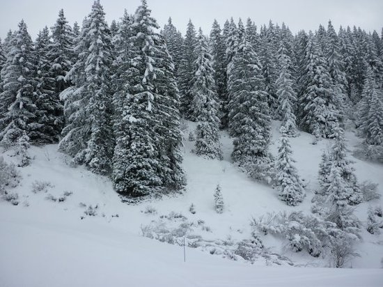 tout blanc