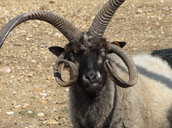 tout est dans le regard