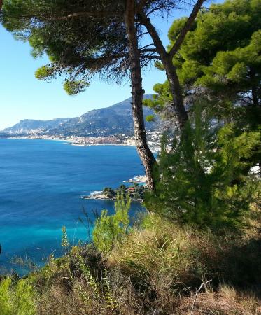 travel tour prestige