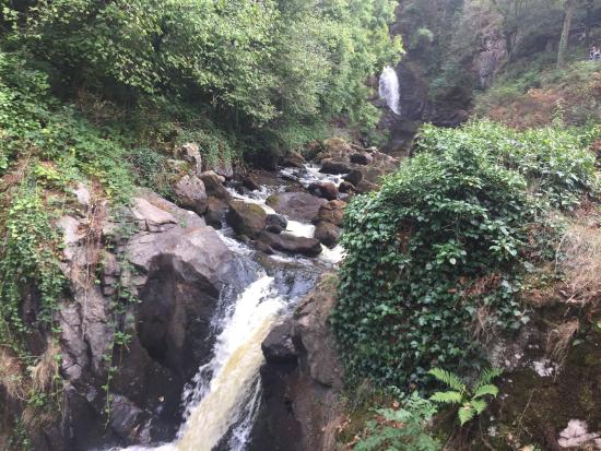 tres beau coin de nature