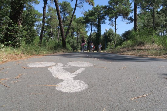 trop cool et super sympa