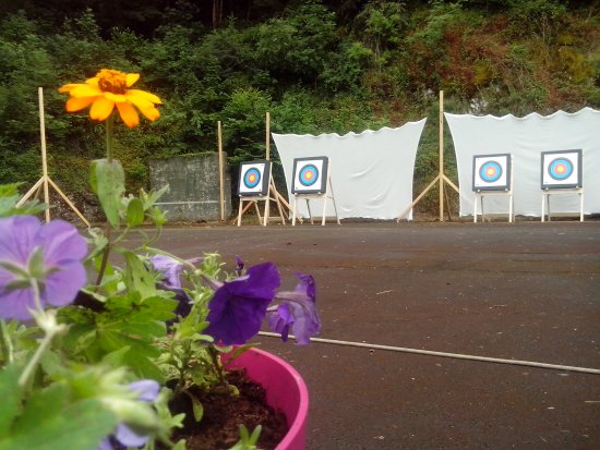 un cadre arbore et fleuri