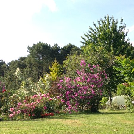 un des nombreux massifs